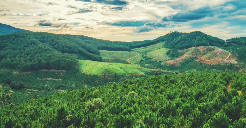 Captivating landscape of verdant hills and forests under a dramatic sky, perfect for nature lovers.