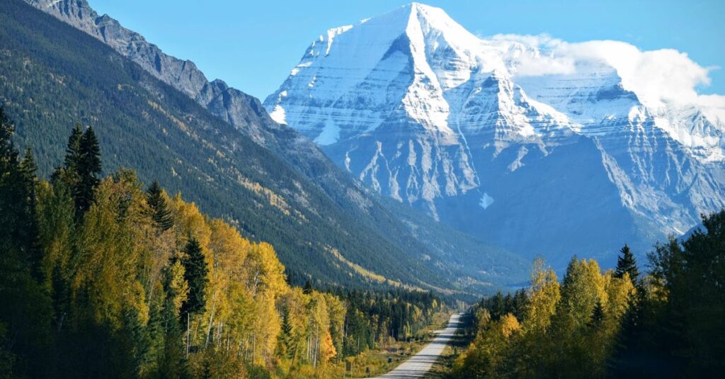 Stunning autumn scene with a road leading to a snow-capped mountain under a clear blue sky.
